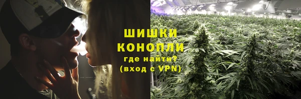 тгк Белокуриха
