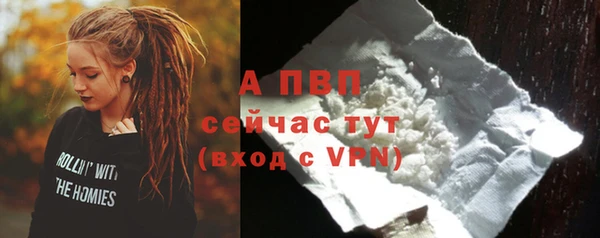 тгк Белокуриха