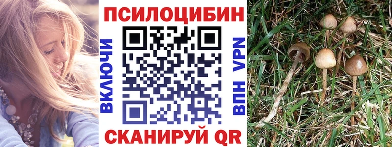 Псилоцибиновые грибы MAGIC MUSHROOMS  Тобольск 